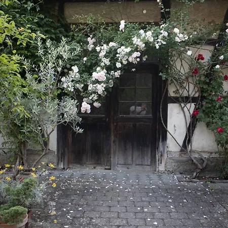 villaflora Gästehaus-3